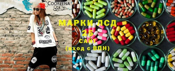 шишки Заволжск
