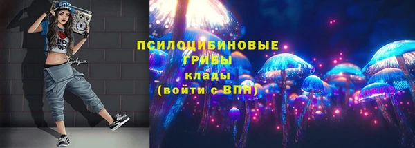 мет Заводоуковск