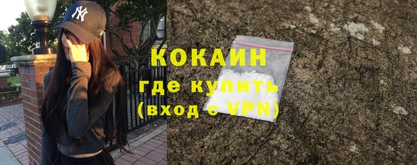 шишки Заволжск