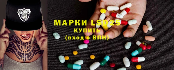 шишки Заволжск