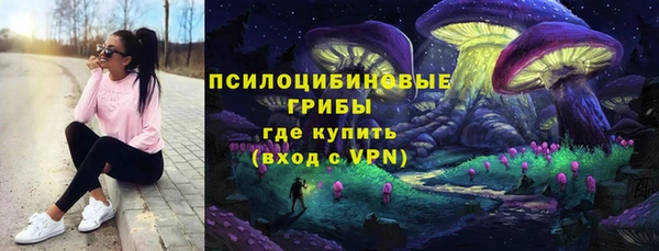 крисы Инсар