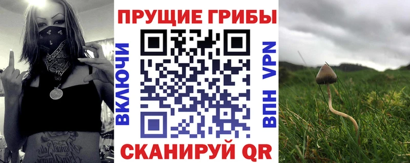 Псилоцибиновые грибы Psilocybine cubensis  Купить где  Железноводск 
